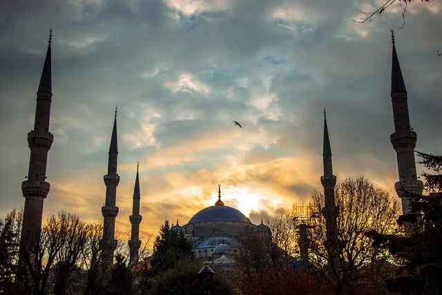Cobragruppe mit Istanbul